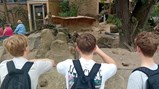 German Exchange student visiting the zoo and spotting Meir Cats 