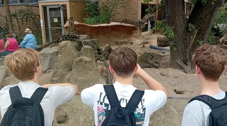 German Exchange student visiting the zoo and spotting Meir Cats 